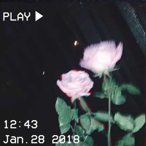 Meet your Posher, Lela